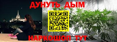 стаф Анжеро-Судженск