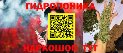 стаф Анжеро-Судженск