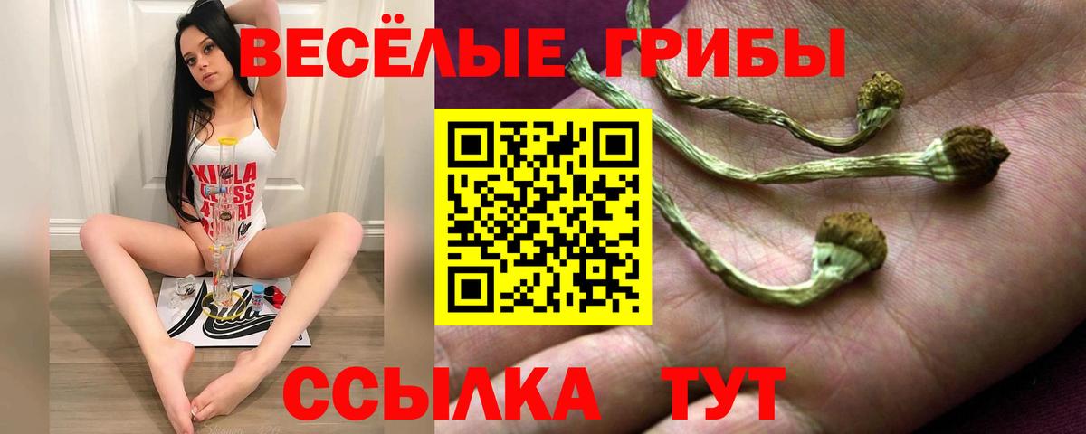 что такое наркотик  Вход с VPN  Муравленко  Галлюциногенные грибы Psilocybe  Галлюциногенные грибы мицелий 